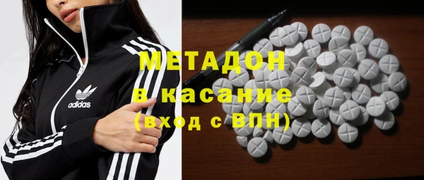 прущие грибы Медвежьегорск