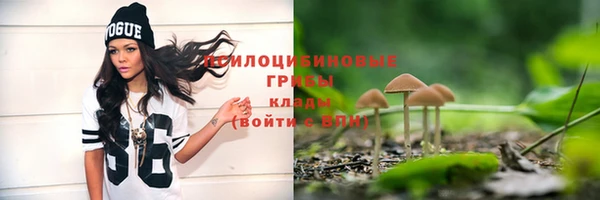 тгк Мегион