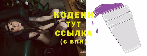 прущие грибы Медвежьегорск