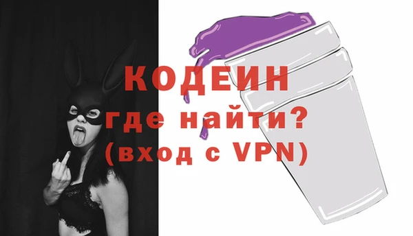 прущие грибы Медвежьегорск