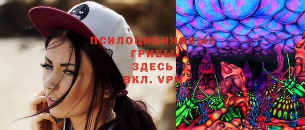прущие грибы Медвежьегорск