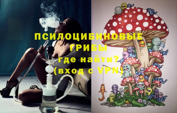 дмт Медногорск