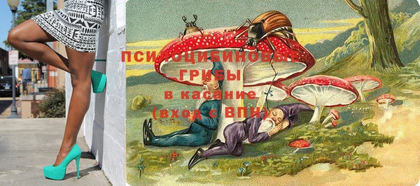 дмт Медногорск