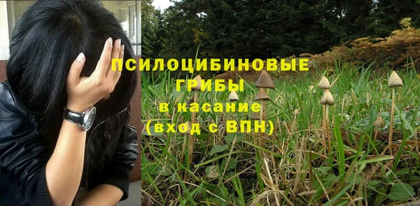дмт Медногорск