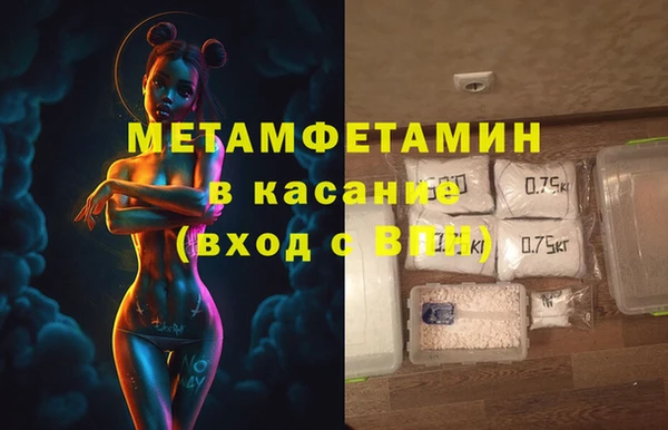 прущие грибы Медвежьегорск