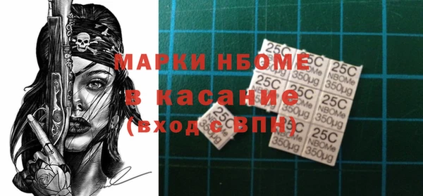 прущие грибы Медвежьегорск