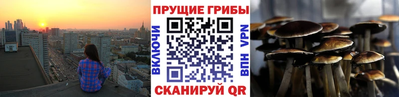 ссылка на мегу Нарткала Галлюциногенные грибы Psilocybine cubensis хочу наркоту